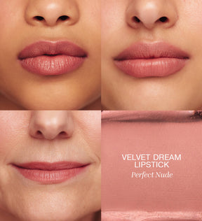 Velvet Dream Lipstick in Perfect Nude Auftrag auf den Lippen und Textur-Swatch